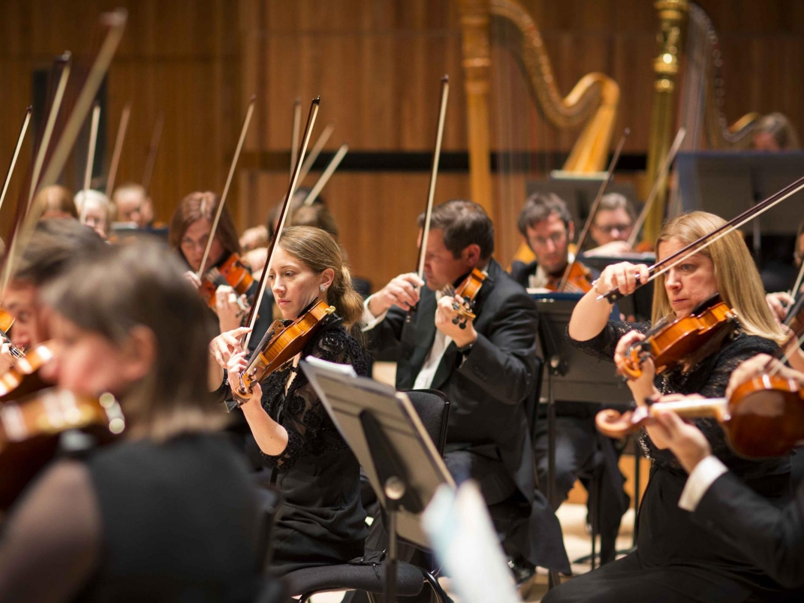 Royal Philhamonic Orchestra